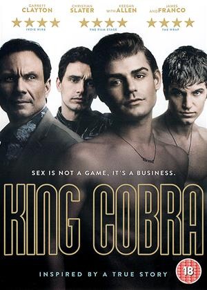 ดูหนังออนไลน์ฟรี King Cobra (2016) คิงคอบบ้า เปลื้องผ้าให้ฉาวโลก พากย์ไทย เต็มเรื่อง