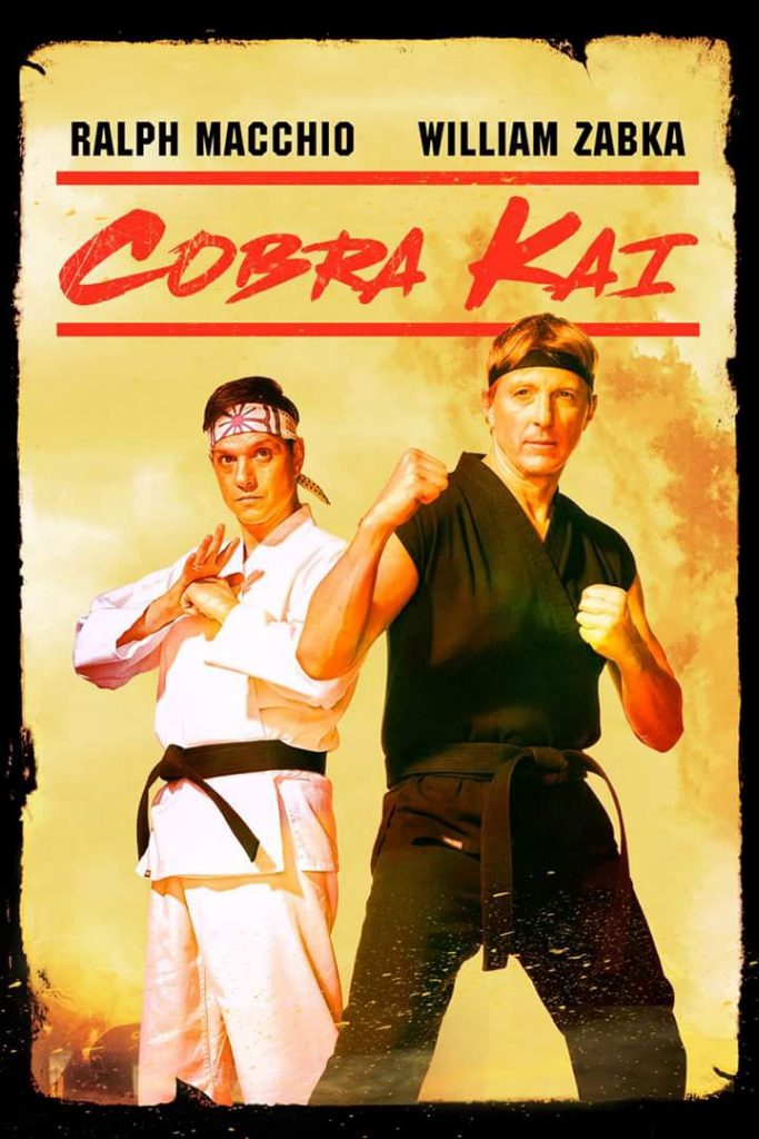 ดูซีรี่ย์ออนไลน์ ซีรี่ย์ฝรั่ง Cobra Kai Season 1 (2018) คอบร้า ไค ซับไทย NETFLIX