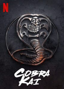 ดูซีรี่ย์ฝรั่ง Netflix Cobra Kai Season 2 (2020) คอบร้า ไค จบเรื่อง