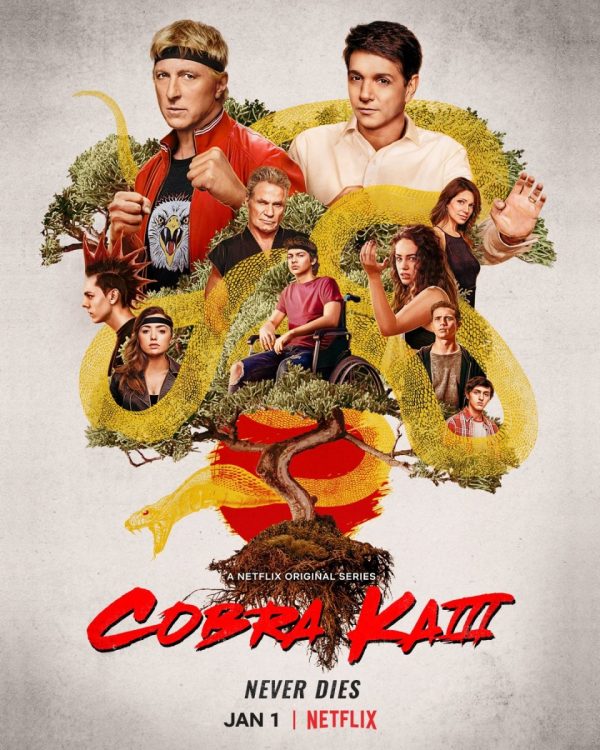 ดูซีรี่ย์ NETFLIX ซีรี่ย์ฝรั่ง Cobra Kai Season 3 (2021) ซับไทย