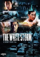 The White Storm ดูหนังเอเชีย