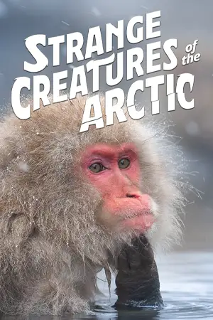 ดูหนังออนไลน์ฟรี หนังใหม่ Strange Creatures of the Arctic (2022)