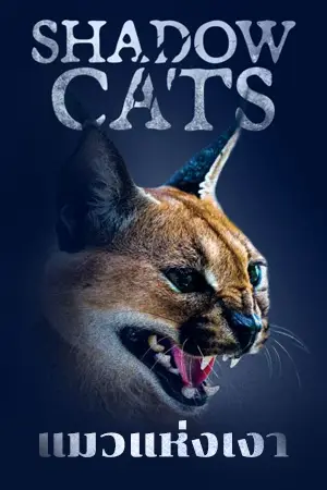 ดูหนังออนไลน์ Shadow Cats (2022) แมวแห่งเงา HD