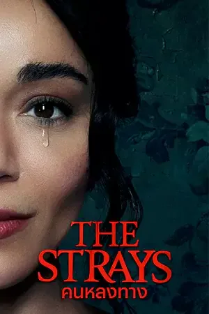 ดูหนัง Netflix The Strays (2023) คนหลงทาง