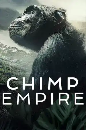ดูหนัง Netflix ออนไลน์ อาณาจักรชิมแปนซี (2023) Chimp Empire ดูหนังออนไลน์