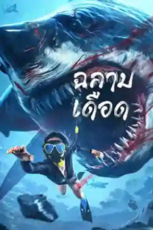 ดูหนังออนไลน์ Shark Evil (2023) ฉลามเดือด