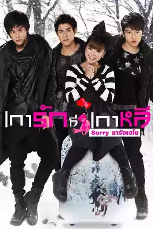ดูหนังออนไลน์ Sorry Saranghaeyo (2010) เการักที่เกาหลี ซอร์รี ซารังเฮโย