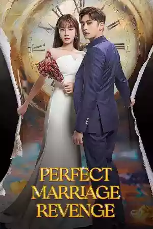 ซีรี่ย์เกาหลี Perfect Marriage Revenge (2023)