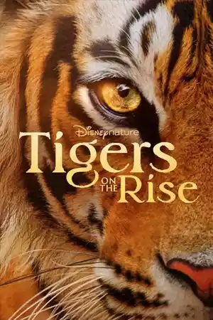 ดูหนัง Tigers on the Rise (2024)